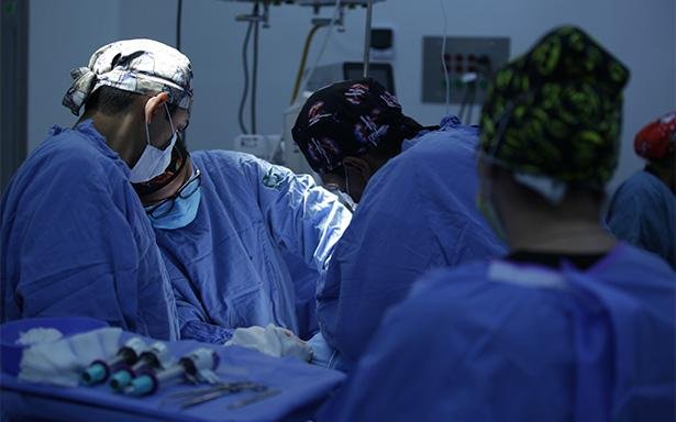 https://www.imss.gob.mx/prensa/archivo/202603/156
