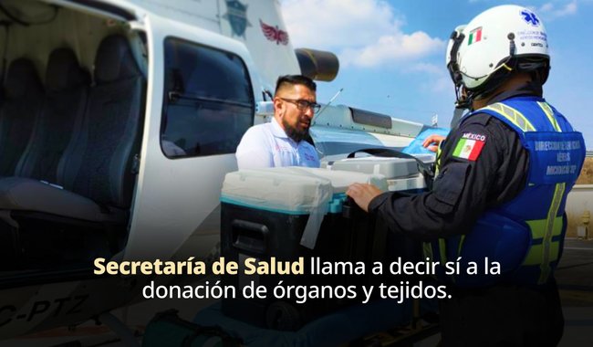 https://www.gob.mx/salud/prensa/025-secretaria-de-salud-fortalece-la-cultura-de-la-donacion-para-incrementar-los-trasplantes-en-mexico?idiom=es